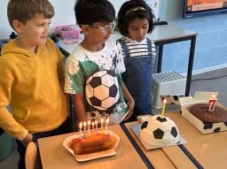 P2B - Les anniversaires des Ouistitis